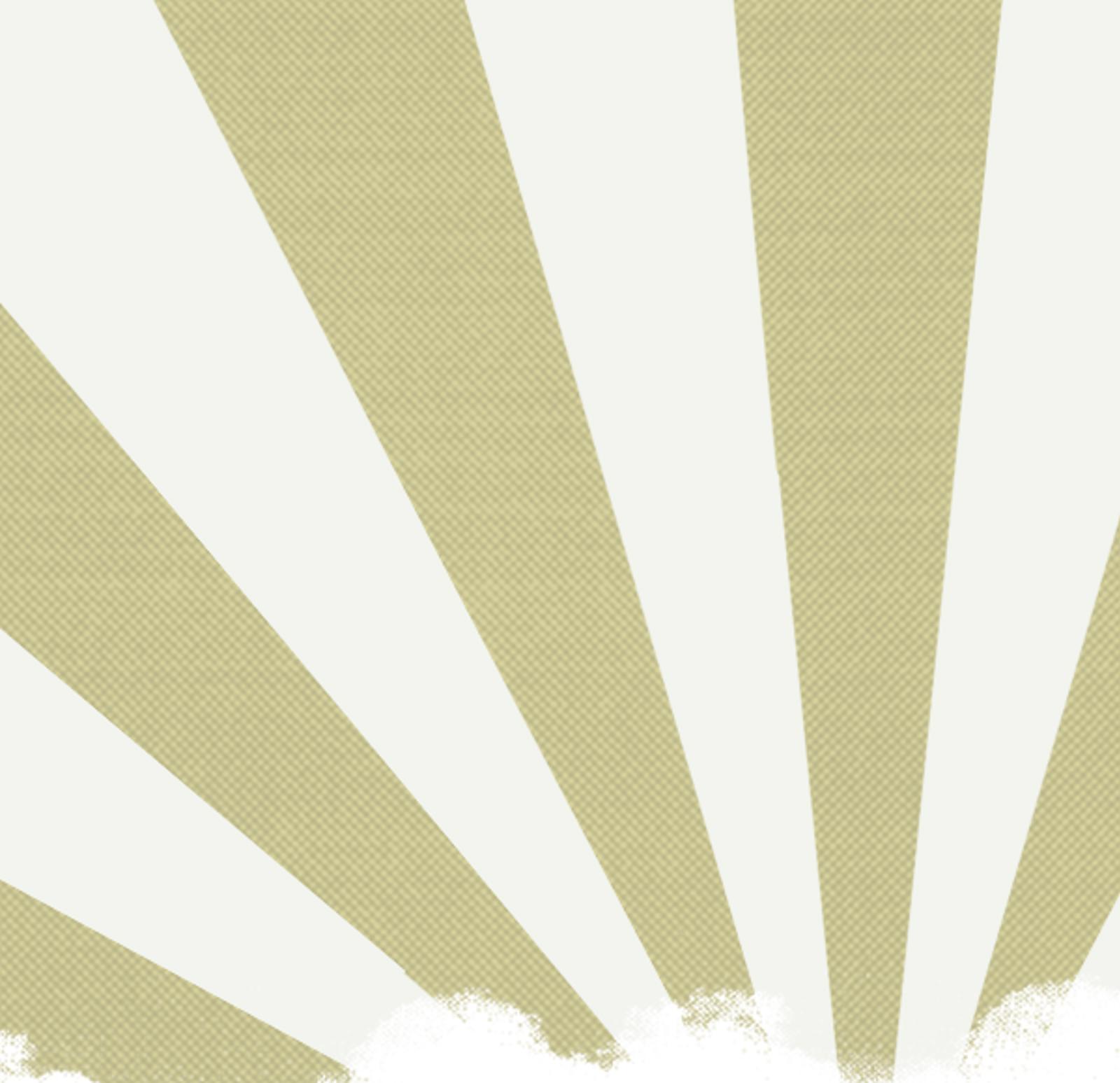 Low Sugar Ginger Beer